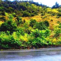 Island in Greece, Veroia, 2920 sq.m.