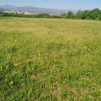 Island in Greece, Veroia, 5000 sq.m.