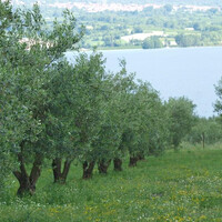 Остров в Греции, Servia, 5343 кв.м.