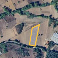 Island in Greece, 7500 sq.m.