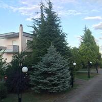 Другое в Греции, Верия, 310 кв.м.