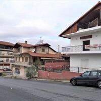 Другое в Греции, Пелла, 295 кв.м.