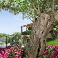 Villa in Greece, Ionian Islands, Corfu, 1055 sq.m.