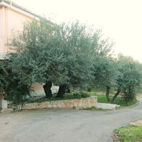 Villa in Greece, Ionian Islands, Corfu, 400 sq.m.