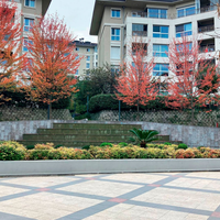 Апартаменты в Турции, Стамбул