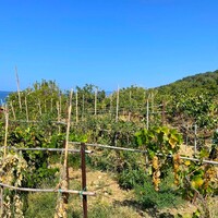Villa in Greece, Ionian Islands, Corfu, 265 sq.m.