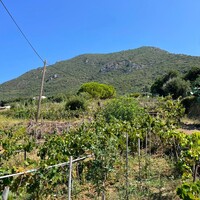 Villa in Greece, Ionian Islands, Corfu, 265 sq.m.