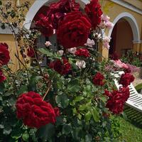 Aparthotel in Greece, Ionian Islands, Corfu, 400 sq.m.