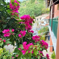 Townhouse in Greece, Ionian Islands, Corfu, 135 sq.m.