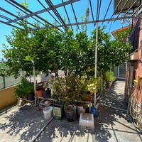Таунхаус в Греции, Ионические острова, Корфу, 85 кв.м.
