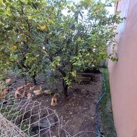 Townhouse in Greece, Ionian Islands, Corfu, 80 sq.m.
