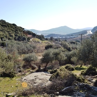 Island in Greece, 4000 sq.m.