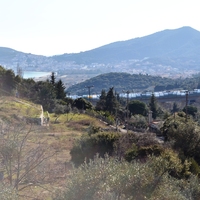 Island in Greece, 4000 sq.m.