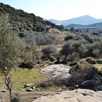 Island in Greece, 4000 sq.m.