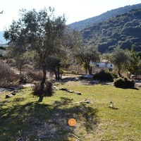 Island in Greece, 4000 sq.m.
