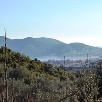 Island in Greece, 5500 sq.m.