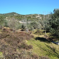 Island in Greece, 5500 sq.m.