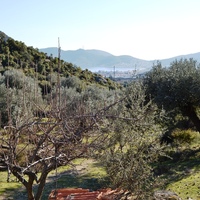 Island in Greece, 5500 sq.m.