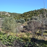Island in Greece, 5500 sq.m.
