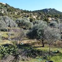 Island in Greece, 5500 sq.m.
