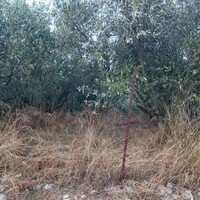 Island in Greece, 900 sq.m.
