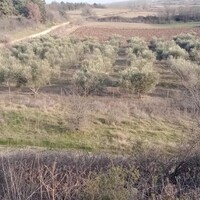 Остров в Греции, 4400 кв.м.