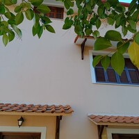 Other in Greece, Arcadia, 214 sq.m.