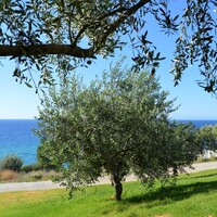 Residential complex in Greece, Pyrgos, 662 sq.m.