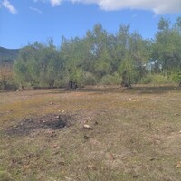 Апарт-отель в Греции, Ионические острова, Корфу, 16000 кв.м.
