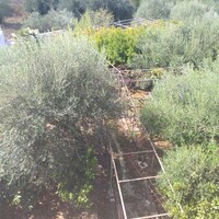 Апарт-отель в Греции, Ионические острова, Корфу, 16000 кв.м.