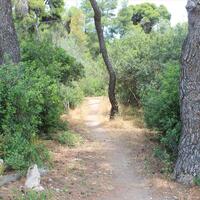 Island in Greece, Peloponnese, 1400 sq.m.