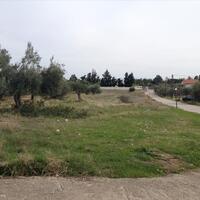 Island in Greece, Peloponnese, Agioi Theodoroi, 7069 sq.m.