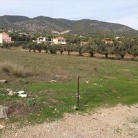 Island in Greece, Peloponnese, Agioi Theodoroi, 7069 sq.m.