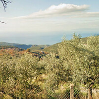 Island in Greece, Peloponnese, 2000 sq.m.