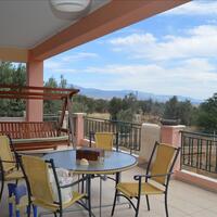 Other in Greece, Peloponnese, 144 sq.m.