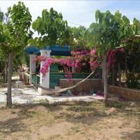 Other in Greece, Peloponnese, 144 sq.m.