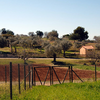 Остров в Греции, Пелопоннес, Kranidi, 41575 кв.м.