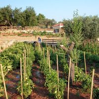 Остров в Греции, Пелопоннес, Kranidi, 41575 кв.м.