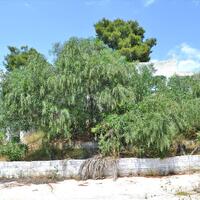 Residential complex in Greece, Peloponnese, Kranidi, 400 sq.m.