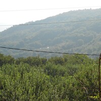 Island in Greece, Thessaly, Volos, 5000 sq.m.