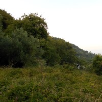 Island in Greece, Thessaly, Volos, 5000 sq.m.