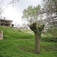 Island in Greece, Thessaly, 3617 sq.m.