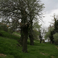 Island in Greece, Thessaly, 3617 sq.m.