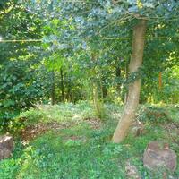 Island in Greece, Thessaly, 7500 sq.m.