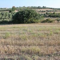 Island in Greece, Thessaly, Zagora, 2964 sq.m.