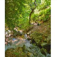 Island in Greece, Thessaly, Zagora, 43000 sq.m.