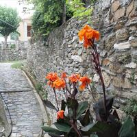 Other in Greece, Thessaly, 70 sq.m.