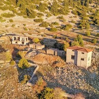 Business center in Greece, Livadeia, 570 sq.m.