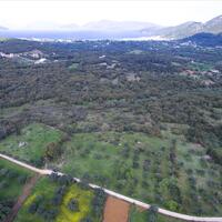 Island in Greece, Ionian Islands, Kefalonia, 5491 sq.m.