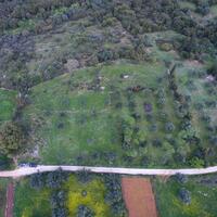 Island in Greece, Ionian Islands, Kefalonia, 5491 sq.m.